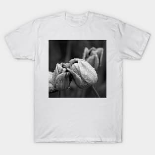 Tulips In Drops T-Shirt